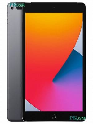 Apple IPad 10.2 (2020)