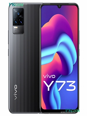 Vivo Y73