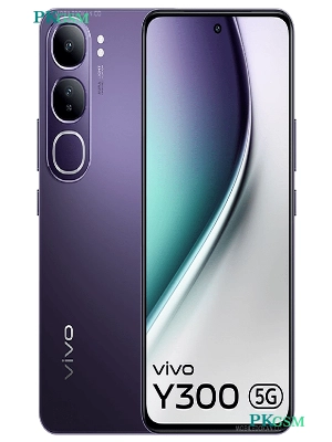 Vivo Y300