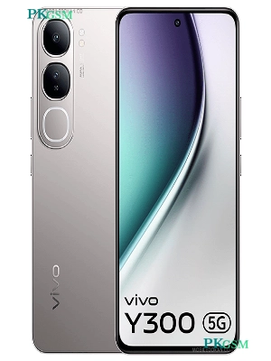 Vivo Y300