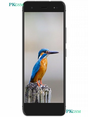 Symphony P9 (2GB)