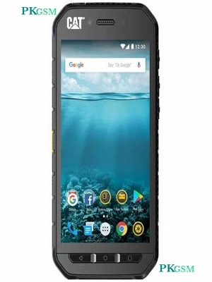 Cat S41