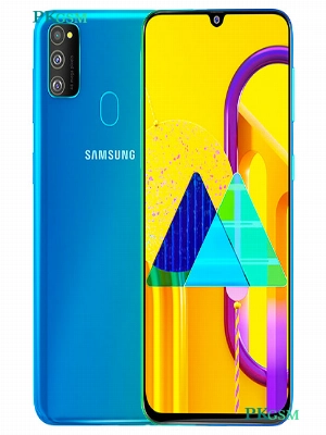 Samsung Galaxy M30s