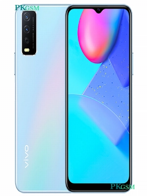 Vivo Y30 Standard