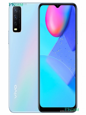 Vivo Y12s 2021