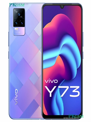Vivo Y73