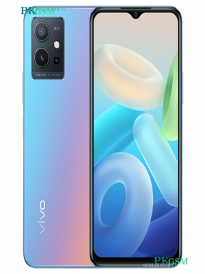 Vivo Y55 5G