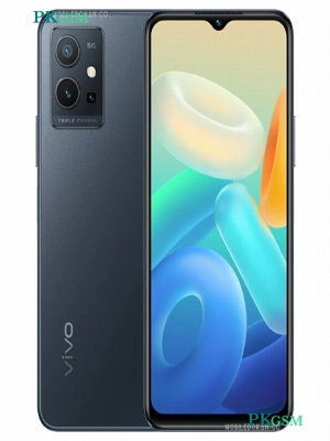 Vivo Y7x