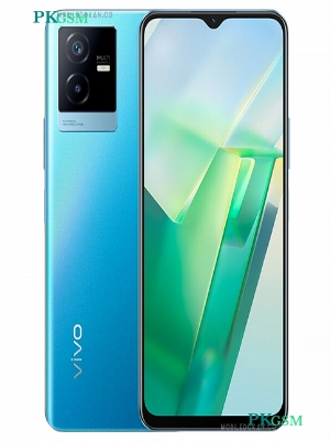 Vivo T2x