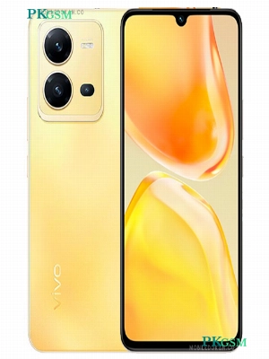 Vivo V25