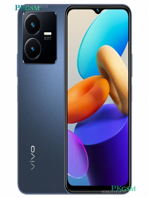 Vivo Y22s