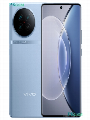 Vivo X90