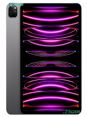 Apple IPad Pro 11 (2022)