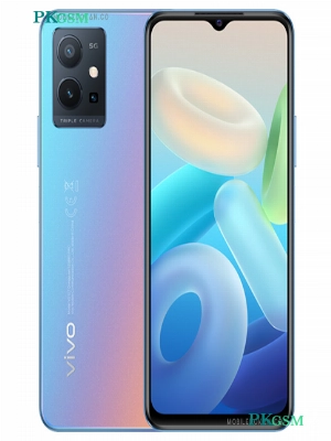Vivo Y55s (2023)