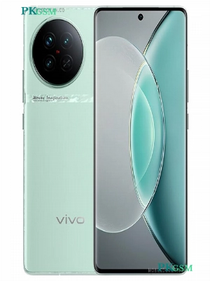 Vivo X90S