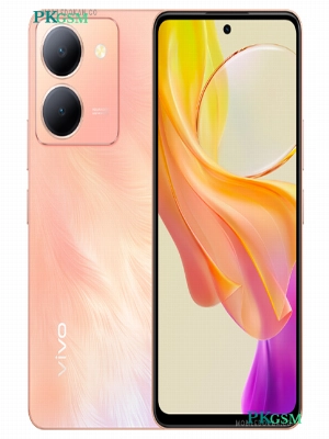 Vivo Y78 (China)