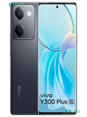 Vivo Y300+