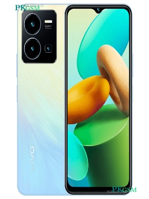 Vivo Y22s (Europe)